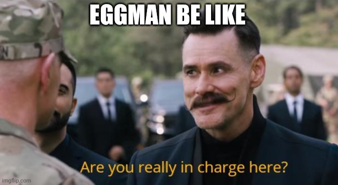 Eggman be like | EGGMAN BE LIKE | image tagged in are you really in charge here | made w/ Imgflip meme maker