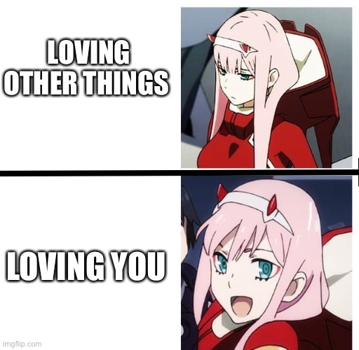 I just straight up love you | LOVING OTHER THINGS; LOVING YOU | image tagged in zero two meme,wholesome | made w/ Imgflip meme maker