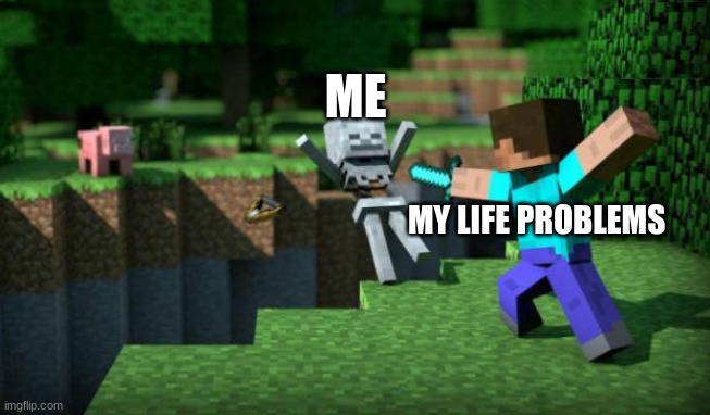 Life Problems | ME; MY LIFE PROBLEMS | image tagged in minecraft swordsman,life sucks | made w/ Imgflip meme maker
