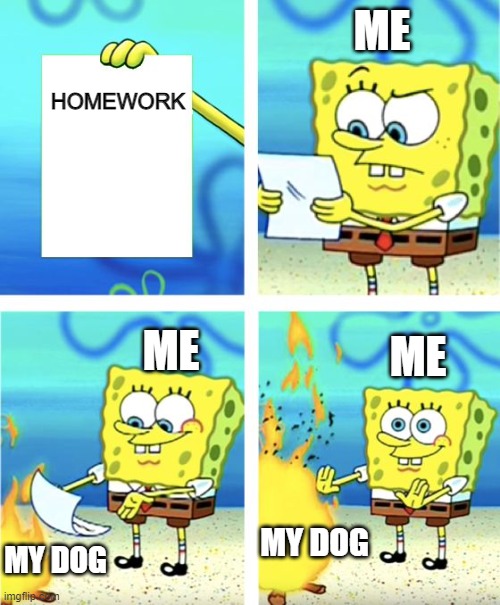 Homework | HOMEWORK; ME; ME; ME; MY DOG; MY DOG | image tagged in spongebob burning paper | made w/ Imgflip meme maker