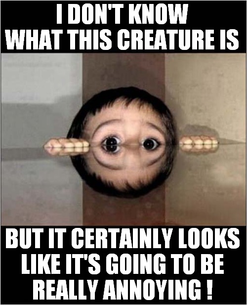 A Weird Monster Approaches ! | I DON'T KNOW WHAT THIS CREATURE IS; BUT IT CERTAINLY LOOKS
 LIKE IT'S GOING TO BE 
REALLY ANNOYING ! | image tagged in weird,monster,reflection,annoying,front page | made w/ Imgflip meme maker