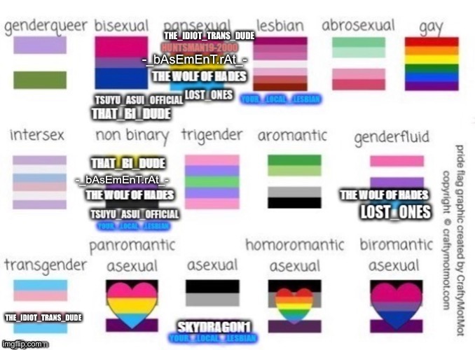 THE_IDIOT_TRANS_DUDE; THE_IDIOT_TRANS_DUDE | image tagged in transgender,pansexual | made w/ Imgflip meme maker