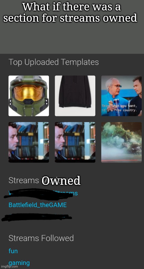 Little self promotion there... | What if there was a section for streams owned; Owned | made w/ Imgflip meme maker