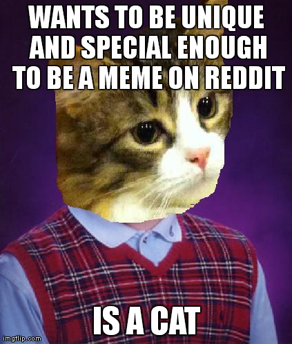 WANTS TO BE UNIQUE AND SPECIAL ENOUGH TO BE A MEME ON REDDIT IS A CAT | image tagged in bad luck cat,AdviceAnimals | made w/ Imgflip meme maker