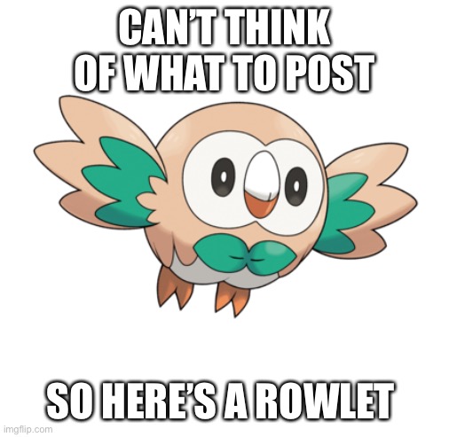 O w l | CAN’T THINK OF WHAT TO POST; SO HERE’S A ROWLET | made w/ Imgflip meme maker