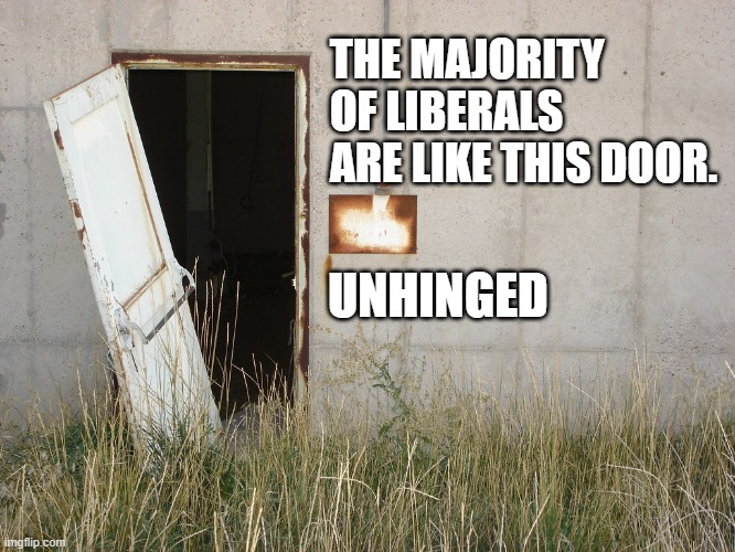 Very few are not... | THE MAJORITY OF LIBERALS ARE LIKE THIS DOOR. UNHINGED | image tagged in liberals,unhinged | made w/ Imgflip meme maker