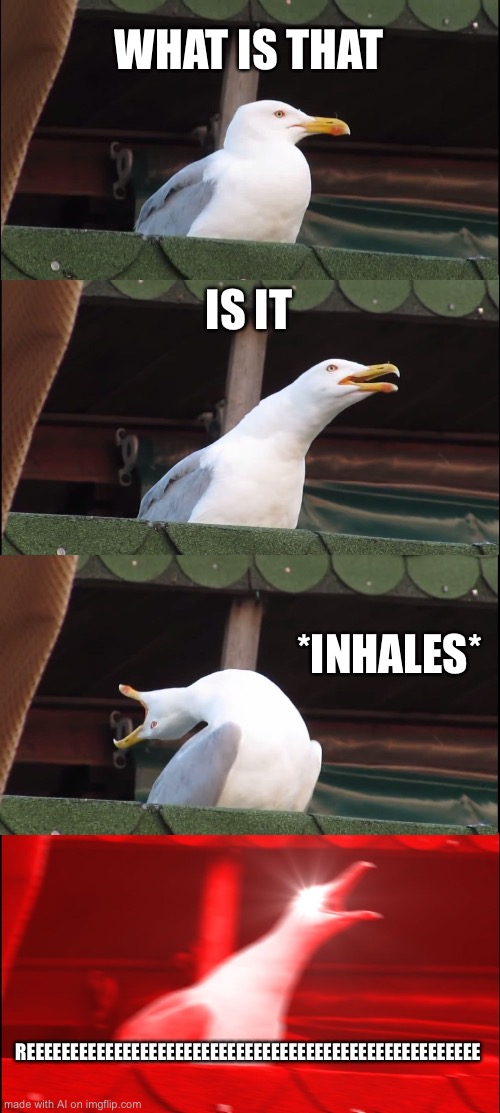 Inhaling Seagull | WHAT IS THAT; IS IT; *INHALES*; REEEEEEEEEEEEEEEEEEEEEEEEEEEEEEEEEEEEEEEEEEEEEEEEEEEE | image tagged in memes,inhaling seagull,ai meme,reeeeeeeeeeeeeeeeeeeeee | made w/ Imgflip meme maker