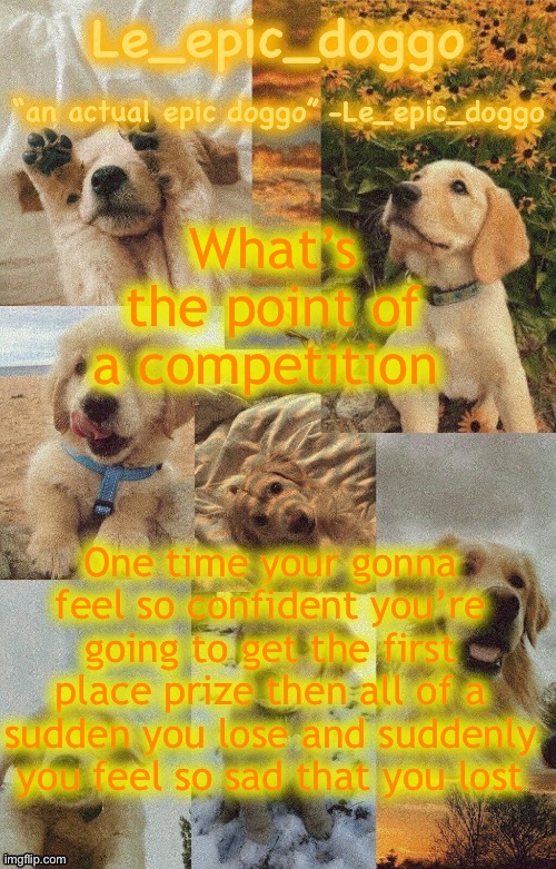 You’re just gonna make the other people who competed and lost a worse time since you got the trophy they wanted | What’s the point of a competition; One time your gonna feel so confident you’re going to get the first place prize then all of a sudden you lose and suddenly you feel so sad that you lost | image tagged in doggo temp by doggo wait what that s confusing | made w/ Imgflip meme maker