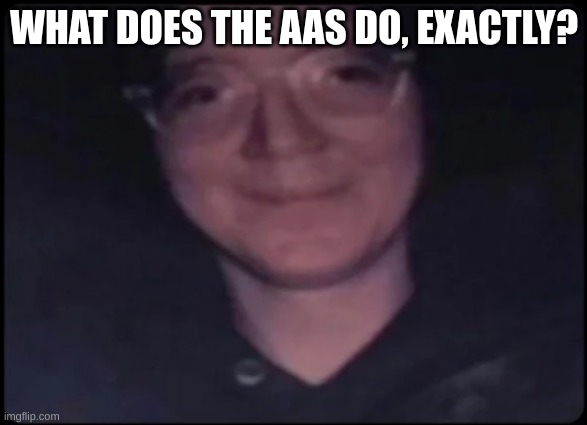 Just wondering | WHAT DOES THE AAS DO, EXACTLY? | image tagged in crosseyed stare | made w/ Imgflip meme maker