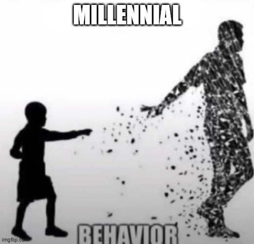 Fatherless Behavior | MILLENNIAL | image tagged in fatherless behavior | made w/ Imgflip meme maker
