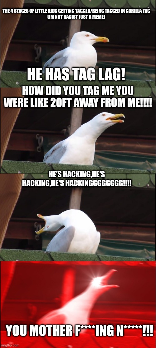 Inhaling Seagull Meme | THE 4 STAGES OF LITTLE KIDS GETTING TAGGED/BEING TAGGED IN GORILLA TAG
(IM NOT RACIST JUST A MEME); HE HAS TAG LAG! HOW DID YOU TAG ME YOU WERE LIKE 20FT AWAY FROM ME!!!! HE'S HACKING,HE'S HACKING,HE'S HACKINGGGGGGGG!!!! YOU MOTHER F****ING N*****!!! | image tagged in memes,inhaling seagull,gorilla tag | made w/ Imgflip meme maker