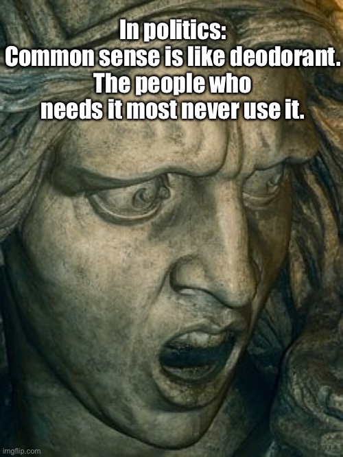 Common sense | In politics:
Common sense is like deodorant. The people who needs it most never use it. | image tagged in politics,common sense,deodorant,never used | made w/ Imgflip meme maker