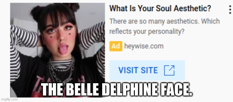 THE BELLE DELPHINE FACE. | made w/ Imgflip meme maker