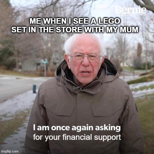 6 year old me | ME WHEN I SEE A LEGO SET IN THE STORE WITH MY MUM; for your financial support | image tagged in memes,bernie i am once again asking for your support | made w/ Imgflip meme maker