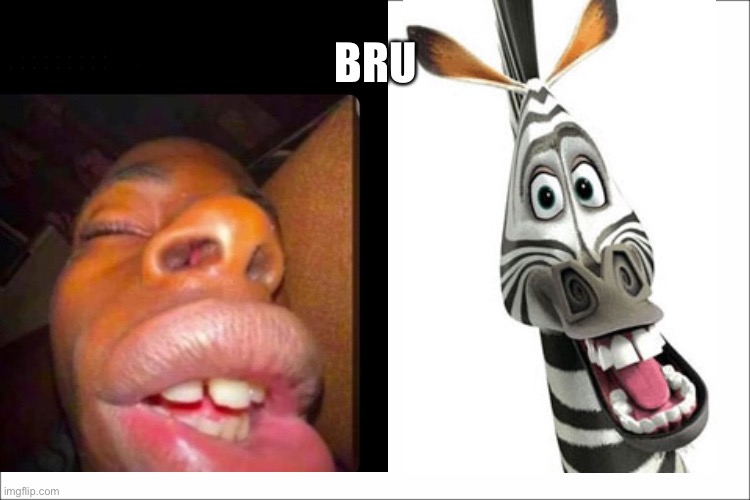 Zebru | BRU | image tagged in madagascar,zebra,bruh | made w/ Imgflip meme maker