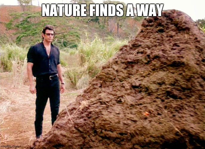 Memes, Poop, Jurassic Park | NATURE FINDS A WAY | image tagged in memes poop jurassic park | made w/ Imgflip meme maker