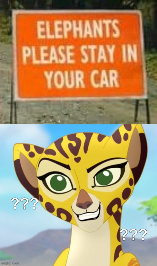 Y Tho | ??? ??? | image tagged in fuli approves,y tho,stupid signs,elephants | made w/ Imgflip meme maker