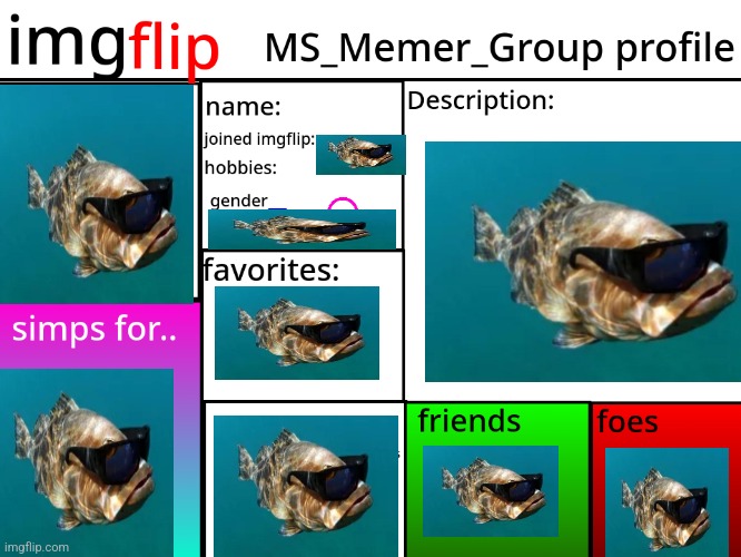 fisj | image tagged in msmg profile | made w/ Imgflip meme maker