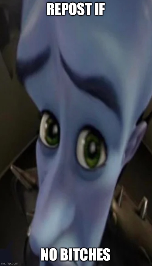 Megamind peeking | REPOST IF; NO BITCHES | image tagged in no bitches | made w/ Imgflip meme maker