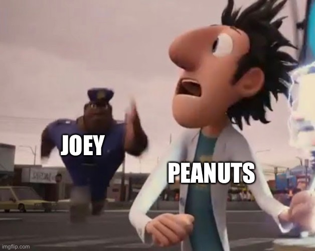 Joey 1 | JOEY; PEANUTS | image tagged in fun | made w/ Imgflip meme maker