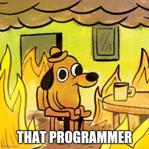 THAT PROGRAMMER | image tagged in dog in burning house | made w/ Imgflip meme maker