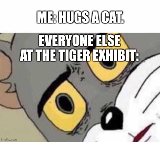 I would love to meet friendly tiger | ME: HUGS A CAT. EVERYONE ELSE AT THE TIGER EXHIBIT: | image tagged in tom cat unsettled close up | made w/ Imgflip meme maker
