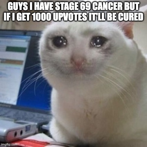 fun stream in a nutshell | GUYS I HAVE STAGE 69 CANCER BUT IF I GET 1000 UPVOTES IT'LL BE CURED | image tagged in crying cat | made w/ Imgflip meme maker