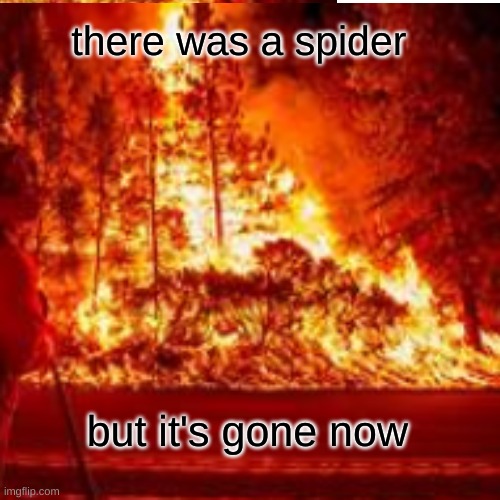 fire spiders | there was a spider; but it's gone now | image tagged in fire,spiders,death | made w/ Imgflip meme maker