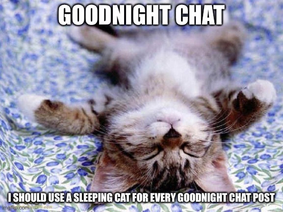 Gnnnn | GOODNIGHT CHAT; I SHOULD USE A SLEEPING CAT FOR EVERY GOODNIGHT CHAT POST | image tagged in upsidedwon sleeping cat | made w/ Imgflip meme maker