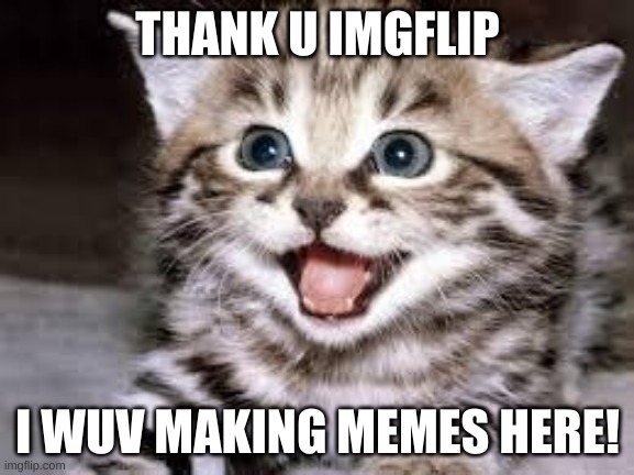 happy cat | THANK U IMGFLIP; I WUV MAKING MEMES HERE! | image tagged in happy cat,imgflip,thank you | made w/ Imgflip meme maker