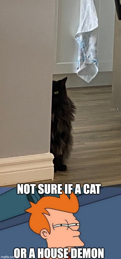 PRETTY SURE IT'S A HOUSE DEMON | NOT SURE IF A CAT; OR A HOUSE DEMON | image tagged in memes,futurama fry,cats,funny cats | made w/ Imgflip meme maker