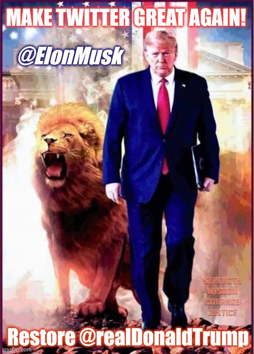 Who's a real Free Speech Absolutist? #Retweet | MAKE TWITTER GREAT AGAIN! @ElonMusk; Restore @realDonaldTrump | image tagged in lion of judah,elon musk,twitter birds says,trump twitter,donald trump approves,the great awakening | made w/ Imgflip meme maker