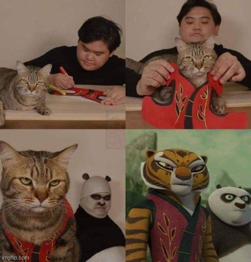 Cats cosplay | image tagged in funny,kung fu panda,cats,animals,cute | made w/ Imgflip meme maker