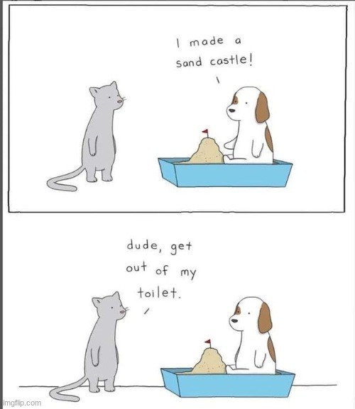 Litter box | image tagged in comics/cartoons,funny,cats,animals | made w/ Imgflip meme maker