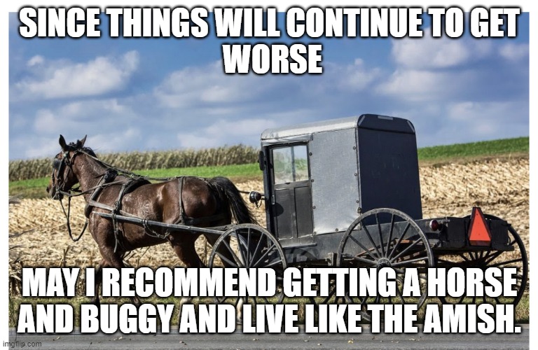 No more Cars, Just Use a Horse and Buggy, That's the amish way. |  SINCE THINGS WILL CONTINUE TO GET
 WORSE; MAY I RECOMMEND GETTING A HORSE AND BUGGY AND LIVE LIKE THE AMISH. | image tagged in amish,horse | made w/ Imgflip meme maker