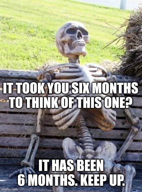 Waiting Skeleton Meme | IT TOOK YOU SIX MONTHS TO THINK OF THIS ONE? IT HAS BEEN 6 MONTHS. KEEP UP. | image tagged in memes,waiting skeleton | made w/ Imgflip meme maker