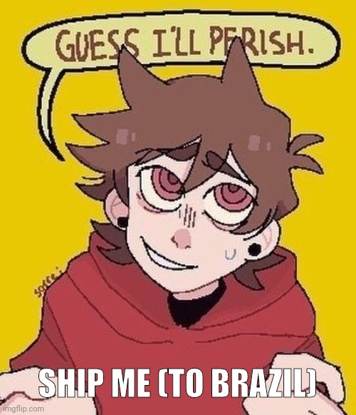 Guess I'll perish. | SHIP ME (TO BRAZIL) | image tagged in guess i'll perish | made w/ Imgflip meme maker