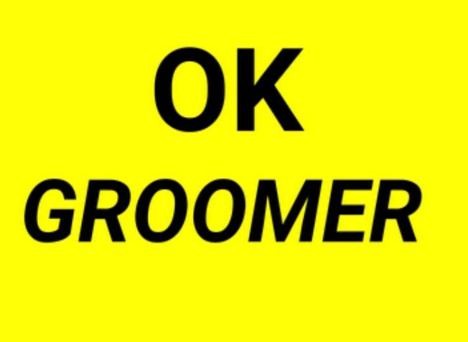 Groomer Blank Meme Template