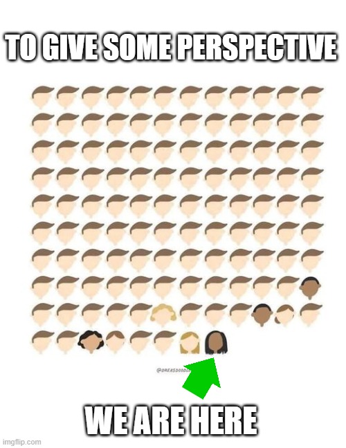 TO GIVE SOME PERSPECTIVE; WE ARE HERE | made w/ Imgflip meme maker