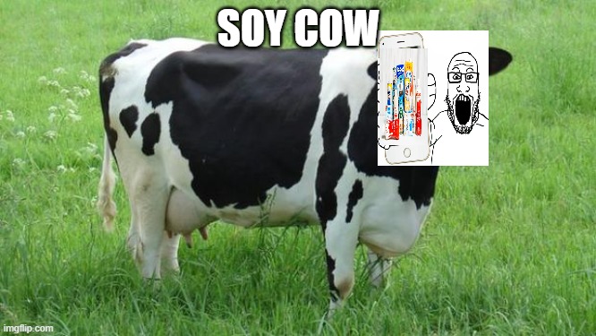 cow |  SOY COW | image tagged in cow,soy milk,vegans,vegans are dumb,soylent green,soyboy | made w/ Imgflip meme maker