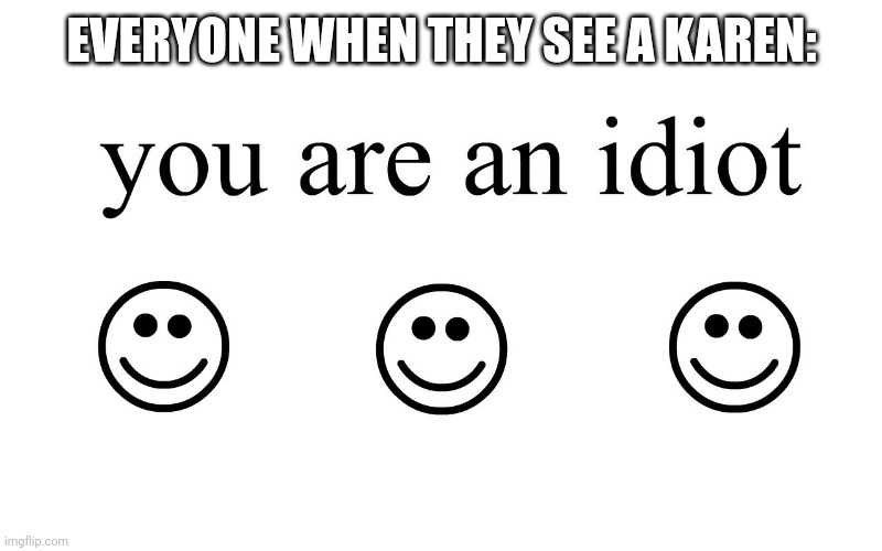 You Are An Idiot!! | EVERYONE WHEN THEY SEE A KAREN: | image tagged in you are an idiot,karen | made w/ Imgflip meme maker