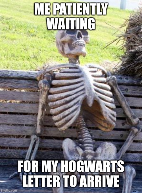 I think it got lost in the mail |  ME PATIENTLY WAITING; FOR MY HOGWARTS LETTER TO ARRIVE | image tagged in memes,waiting skeleton | made w/ Imgflip meme maker