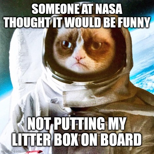 Grumpy Interstellar Astronaut | SOMEONE AT NASA THOUGHT IT WOULD BE FUNNY; NOT PUTTING MY LITTER BOX ON BOARD | image tagged in grumpy interstellar astronaut | made w/ Imgflip meme maker