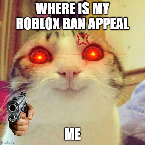 Smiling Cat Meme | WHERE IS MY ROBLOX BAN APPEAL; ME | image tagged in memes,smiling cat | made w/ Imgflip meme maker