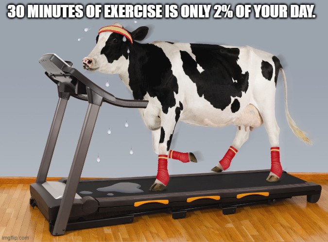 Cow Exercising | 30 MINUTES OF EXERCISE IS ONLY 2% OF YOUR DAY. | image tagged in cow exercising | made w/ Imgflip meme maker