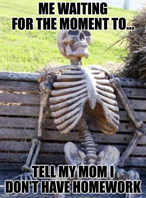 Waiting Skeleton Meme | ME WAITING FOR THE MOMENT TO... TELL MY MOM I DON'T HAVE HOMEWORK | image tagged in memes,waiting skeleton | made w/ Imgflip meme maker