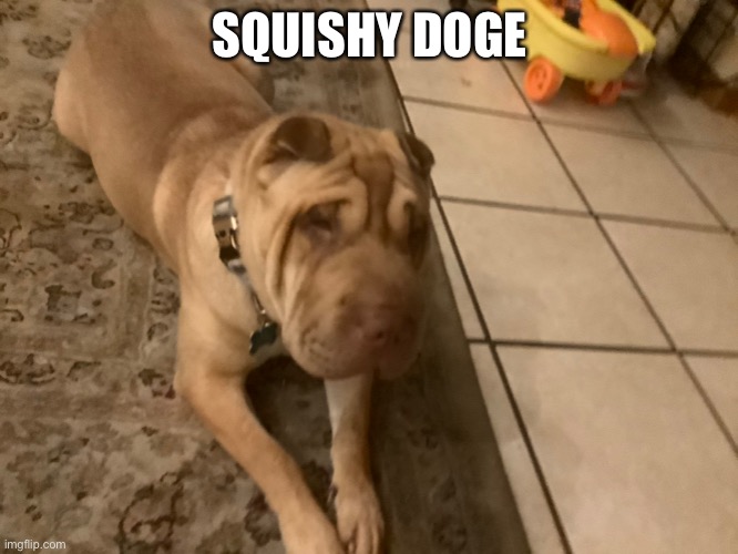 SQUISHY DOGE | made w/ Imgflip meme maker