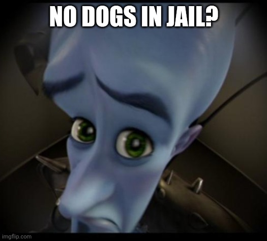Send this to Sappho | NO DOGS IN JAIL? | image tagged in no bitches | made w/ Imgflip meme maker