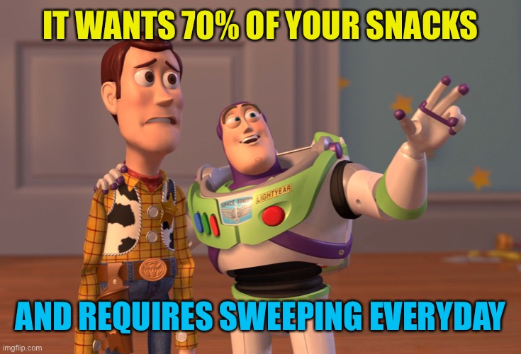 X, X Everywhere Meme | IT WANTS 70% OF YOUR SNACKS AND REQUIRES SWEEPING EVERYDAY | image tagged in memes,x x everywhere | made w/ Imgflip meme maker