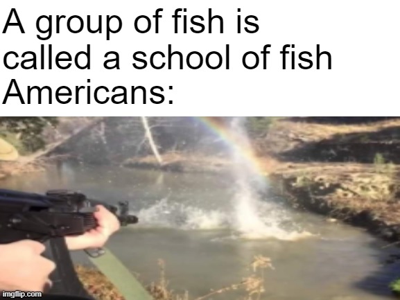 americans be like | A group of fish is called a school of fish; Americans: | image tagged in fish,america,school,guns,oh wow are you actually reading these tags | made w/ Imgflip meme maker